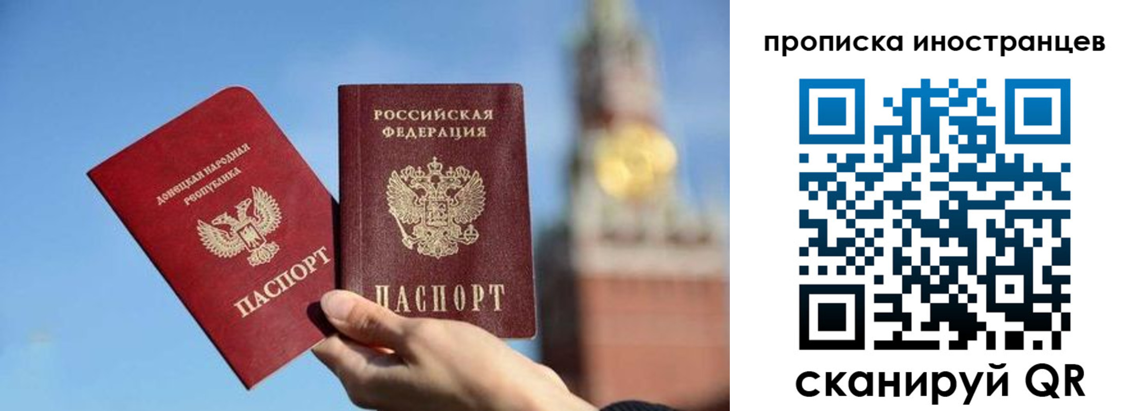 прописка штамп в Бабаево